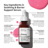 Ordinary SB serum ingredients