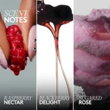 s2978112-av-2202603111422314060700-zoom