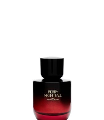 ZARA – BERRY NIGHTFALL